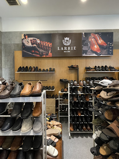 Larrie Corporation M