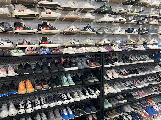 Solematemy