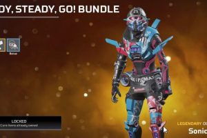 Steady Go Bundle